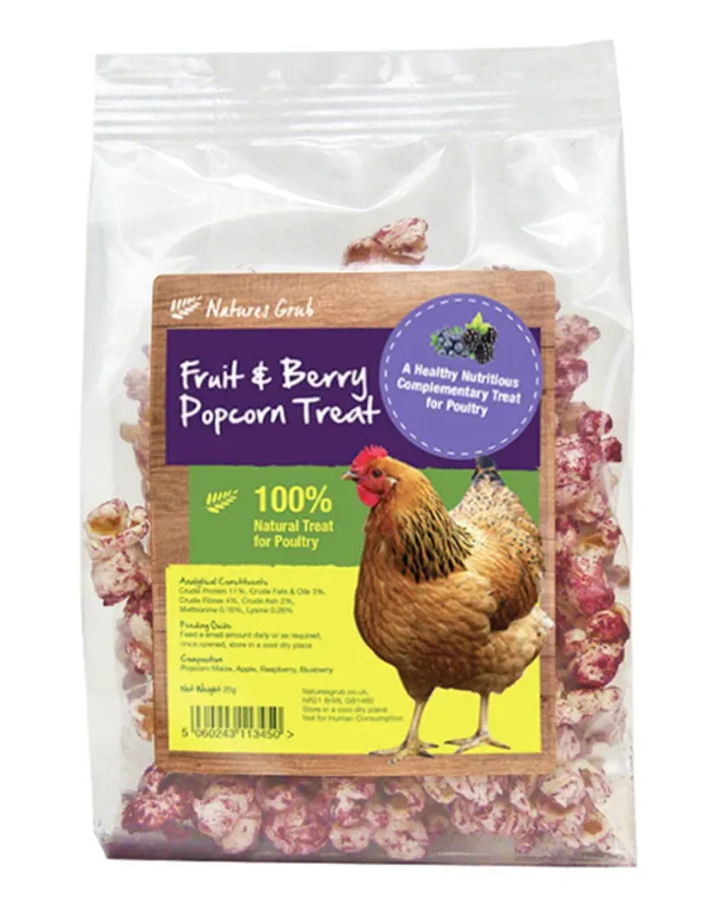 Natures Grub Popcorn Treat With Fruit